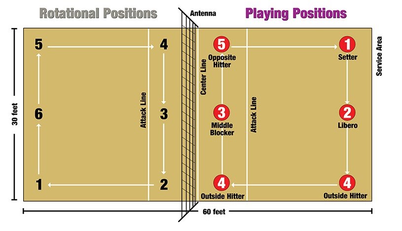 indoor volleyball positions
